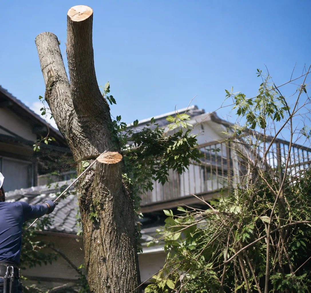 伐採の作業イメージ