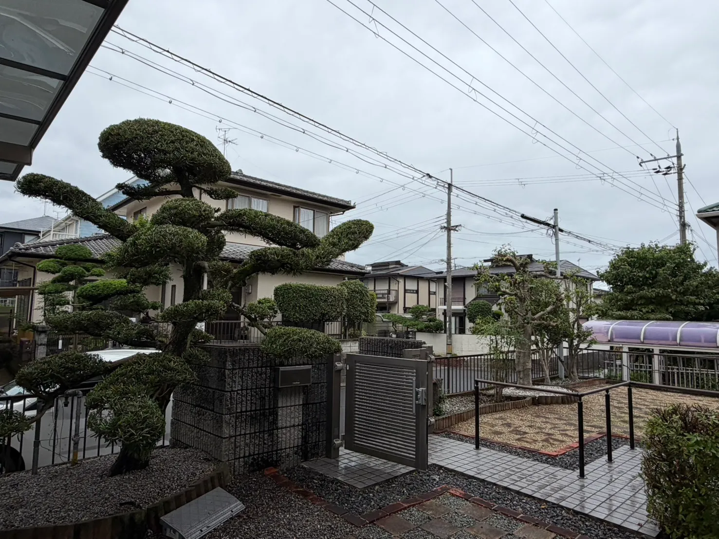 門まわりのマキの剪定とボリュームダウン(施工後)