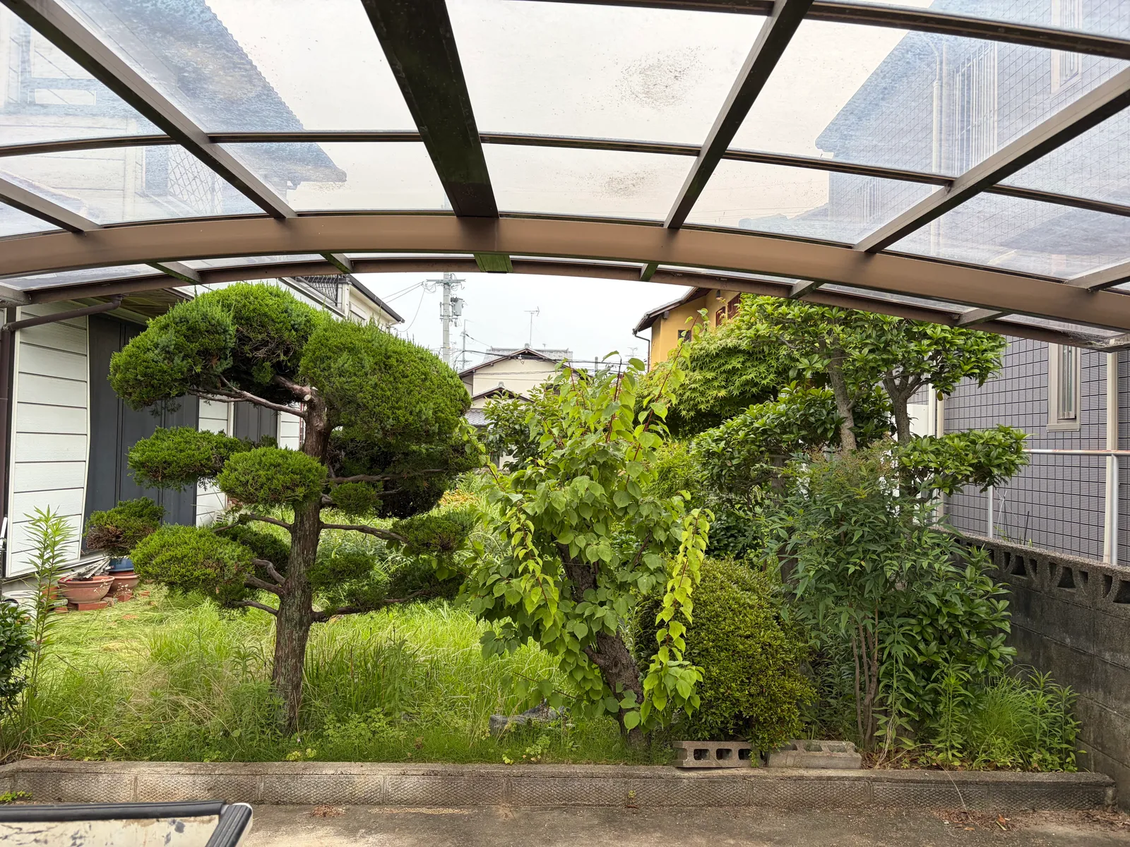 お庭まるごとお手入れ【剪定・草刈り】(施工前)